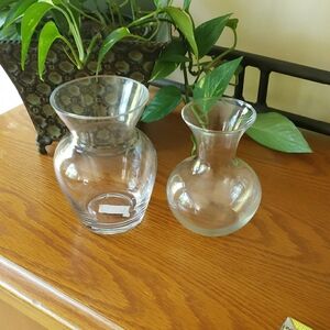 Elegant Clear Glass Vases- Set Of 2
